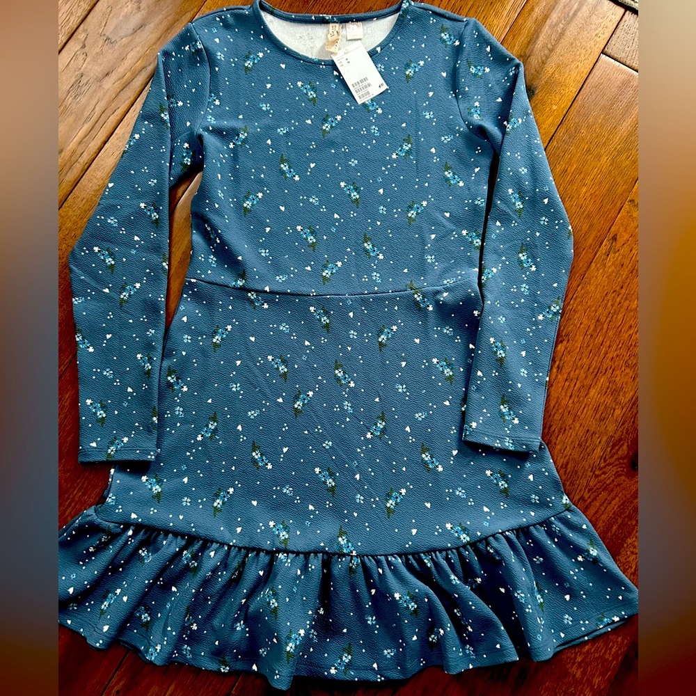 NWT H&M Dress